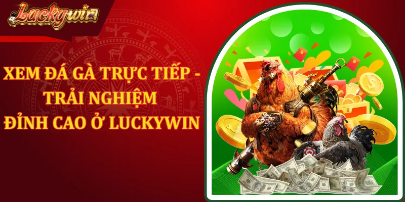 Xem Đá Gà Trực Tiếp - Trải Nghiệm Đỉnh Cao Ở LUCKYWIN